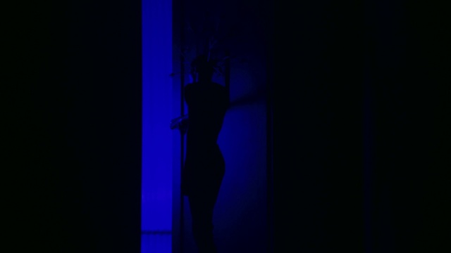 Video Reference: Azure, Flash photography, Knee, Tints and shades, Electric blue, Performing arts, Human leg, Elbow, Twig, Magenta