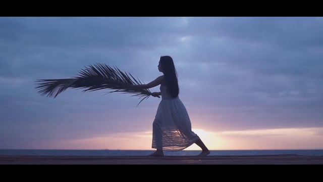 Video Reference: Sky, Horizon, Water, Photography, Tree, Sea, Calm, Happy, Ocean, Backlighting