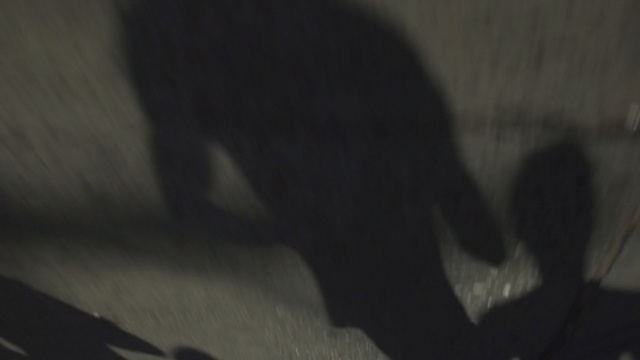 Video Reference: Black, Shadow, Mouth, Leg, Photography, Darkness, Neck, Black-and-white, Tail, Black hair