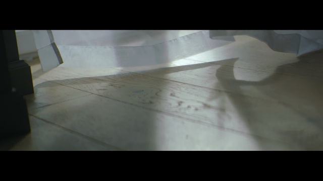 Video Reference: white, black, floor, light, flooring, shadow, wood, line, tile, hardwood