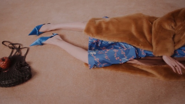 Video Reference: Hand, Finger, Sporting Group, Wrist, Canidae, Vizsla