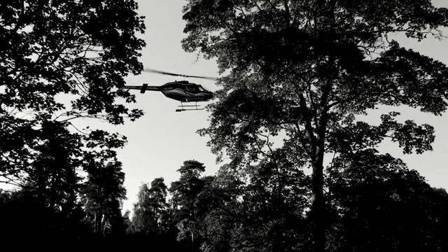 Video Reference: Tree, Sky, Monochrome photography, Black-and-white, Woody plant, Branch, Leaf, Monochrome, Plant, Photography