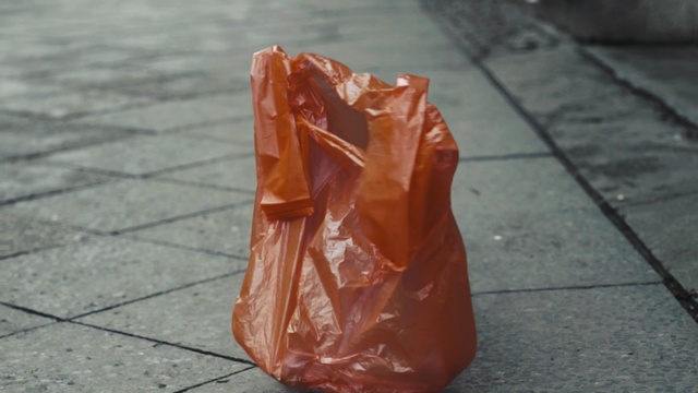 Video Reference: Rock, Mineral, Person