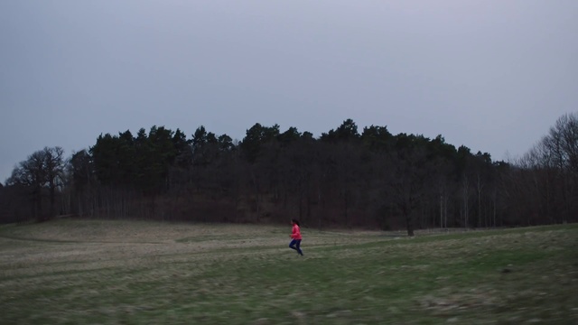 Video Reference: Atmospheric phenomenon, Sky, Grassland, Natural environment, Grass, Land lot, Morning, Cloud, Tree, Plain
