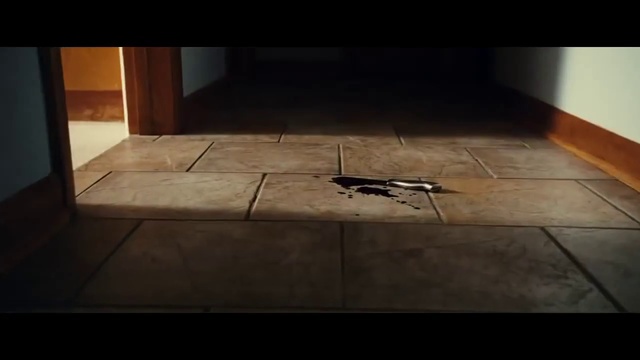 Video Reference: Floor, Tile, Flooring, Black, Hardwood, Wood, Wall, Room, Wood flooring, Line