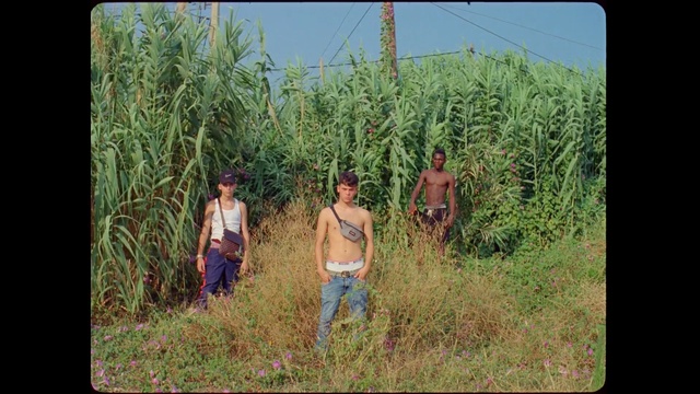 Video Reference: Grass, Grass, Adaptation, Tree, Plant, Crop, Plant community, Field, Photography, Agriculture, Person