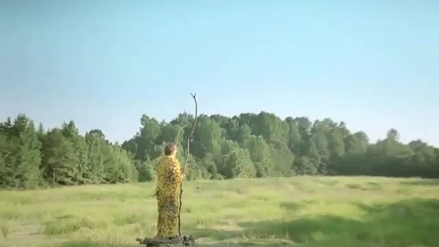 Video Reference: grassland, ecosystem, sky, prairie, tree, grass, field, meadow, pasture, grass family