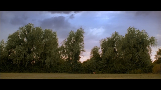 Video Reference: sky, cloud, tree, nature, woody plant, ecosystem, vegetation, atmosphere, morning, grass