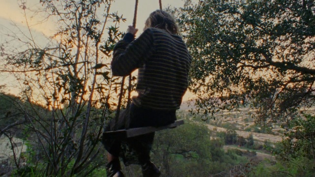 Video Reference: People in nature, Tree, Branch, Sunlight, Photography, Leaf, Sky, Spring, Grass, Forest