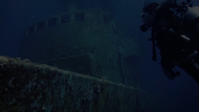 Video Reference: scuba diver, diver, explorer, person, swimmer