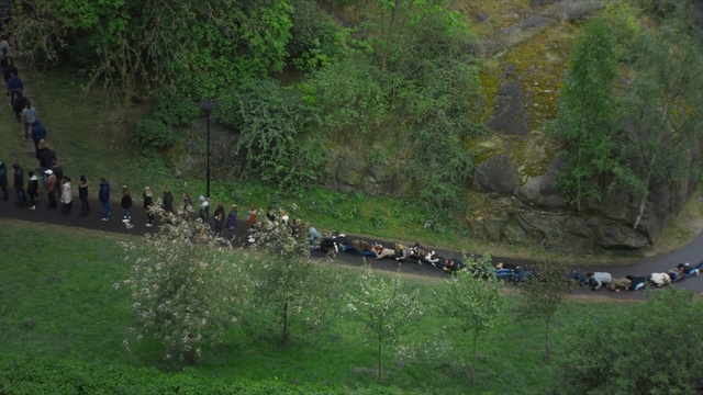 Video Reference: nature reserve, geological phenomenon, hill station, tree, grass, landscape, plant, pasture, wildlife, herd