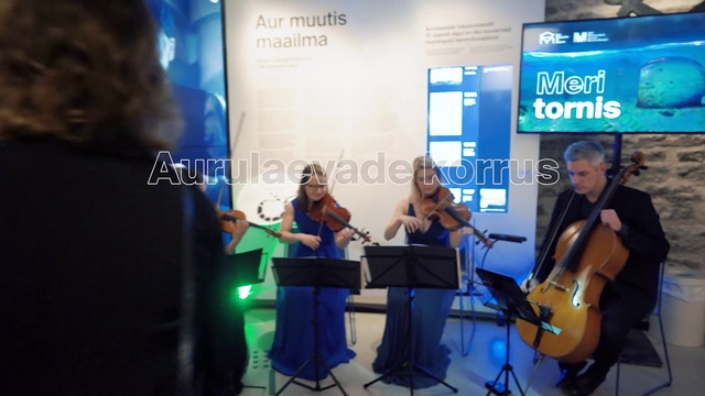 Video Reference: Event, Music, Musician, Performance, Musical instrument, String instrument