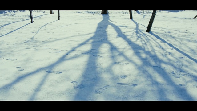 Video Reference: Snow, Winter, Sky, Shadow, Tree, Daytime, Freezing, Cloud, Line, Ice, Person