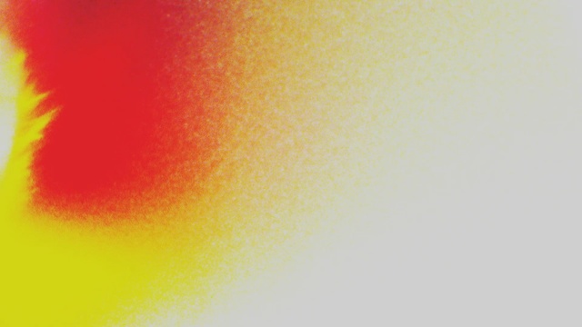 Video Reference: orange, yellow, red, sky, computer wallpaper, macro photography, graphics