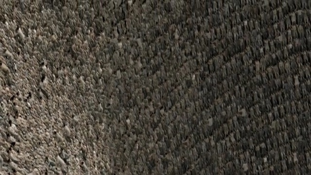 Video Reference: soil, grass, wood, rock, flooring