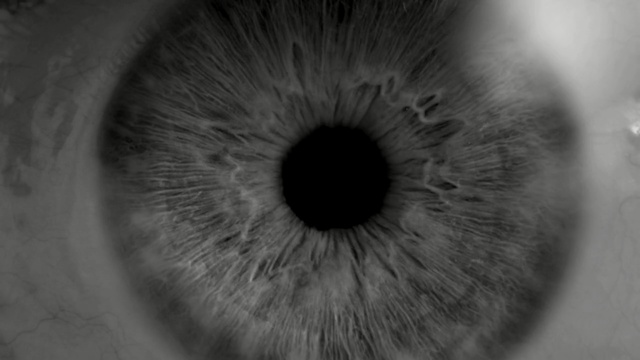 Video Reference: Iris, Eye, Close-up, Organ, Eyelash, Eyebrow, Nose, Macro photography, Monochrome, Black-and-white, Person