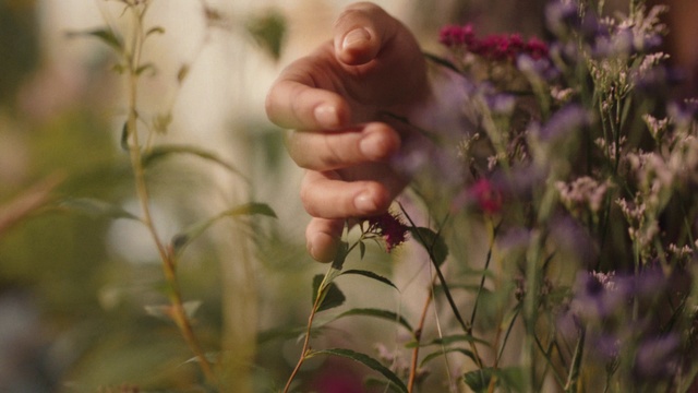 Video Reference: Hand, Flower, Finger, Plant, Grass, Leg, Spring, Organism, Photography, Plant stem