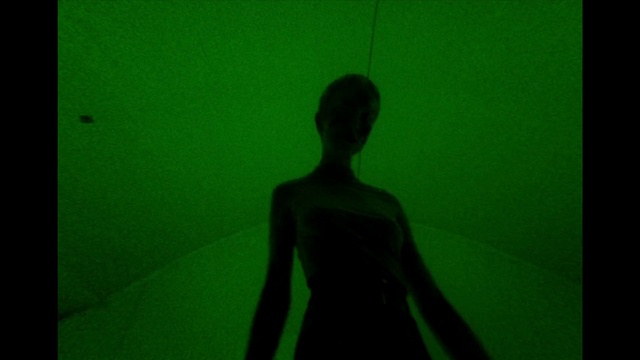Video Reference: Green, Black, Red, Light, Standing, Shadow, Snapshot, Yellow, Silhouette, Darkness