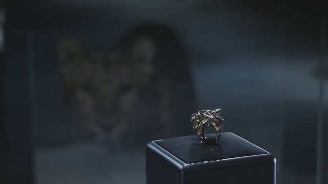 Video Reference: Fashion accessory, Jewellery, Still life photography, Ring, Photography, Wedding ring, Wedding ceremony supply, Darkness, Metal
