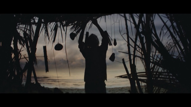 Video Reference: Photograph, Black, Nature, Tree, Branch, Snapshot, Darkness, Photography, Water, Morning, Person