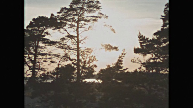 Video Reference: Sky, Nature, Tree, Photograph, Atmospheric phenomenon, Natural landscape, Natural environment, Morning, Snapshot, Leaf