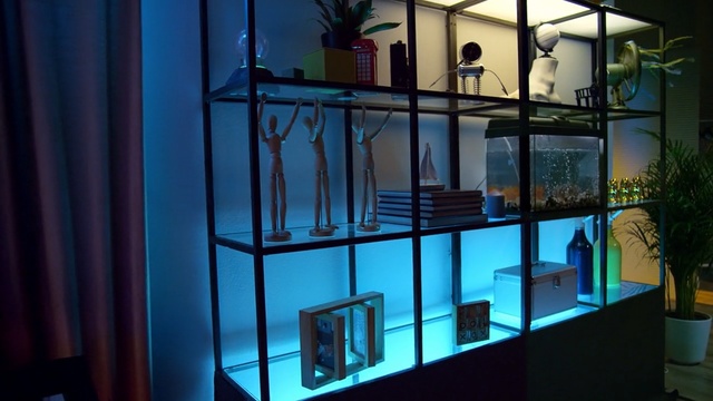 Video Reference: glass, display case, aquarium
