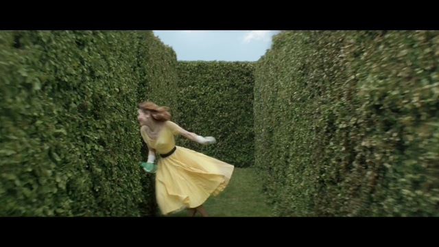 Video Reference: People in nature, Green, Photograph, Grass, Tree, Organism, Photography, Stock photography, Shrub, Adaptation