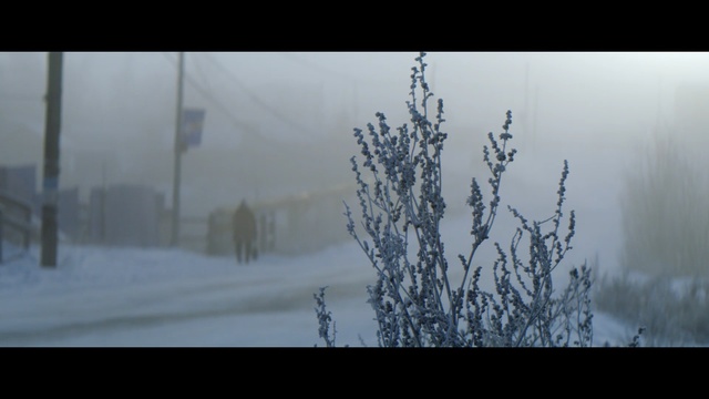 Video Reference: Nature, Atmospheric phenomenon, Freezing, Winter, Sky, Tree, Atmosphere, Fog, Morning, Snow