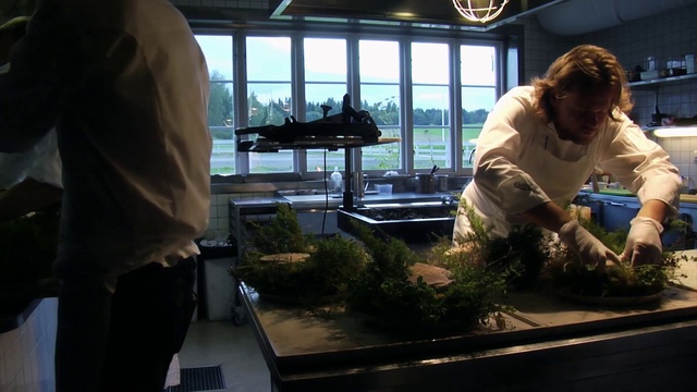 Video Reference: Freshwater aquarium, Plant, Houseplant