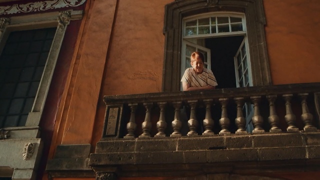 Video Reference: baluster, support, architecture, balcony, Person