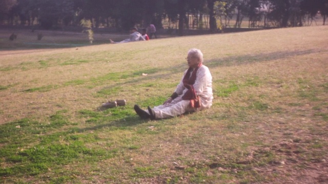 Video Reference: Grass, Lawn, Tree, Meadow, Sitting, Pasture, Grassland, Plant