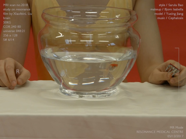 Video Reference: glass, tableware, drinkware, stemware, glass bottle