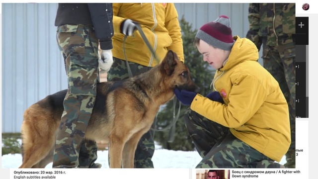 Video Reference: Mammal, Vertebrate, Dog, Canidae, German shepherd dog, Police dog, Kunming wolfdog, Carnivore, Dog breed, Belgian shepherd malinois