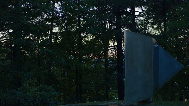 Video Reference: Tree, Green, Light, Natural environment, Architecture, Biome, Morning, Woody plant, Leaf, Sunlight