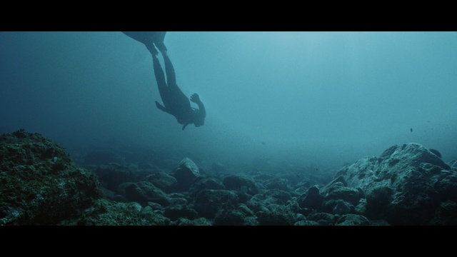 Video Reference: Underwater, Underwater diving, Marine biology, Water, Scuba diving, Freediving, Recreation, Organism, Diving, Sea