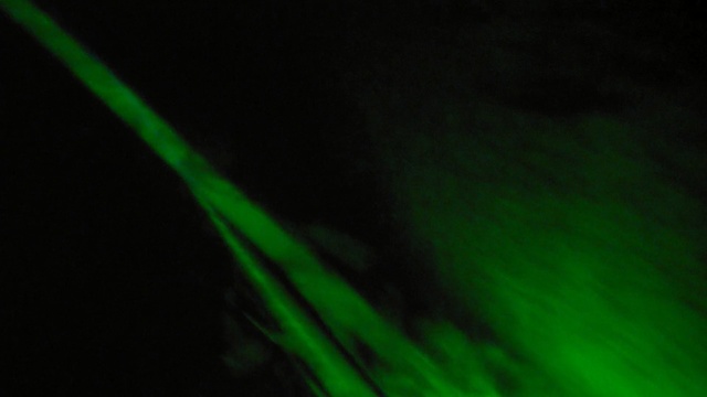 Video Reference: Green, Nature, Light, Leaf, Laser, Macro photography, Technology, Water, Close-up, Grass