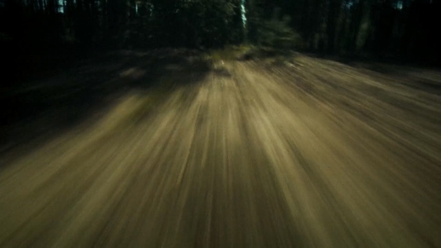 Video Reference: ecosystem, road, light, atmosphere, sunlight, path, sky, morning, forest, asphalt, Person