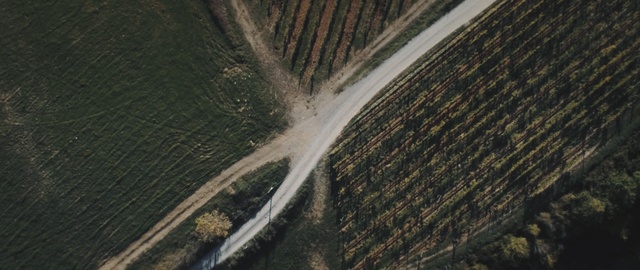 Video Reference: water, sky, tree, water resources, wood, aerial photography, water feature, forest