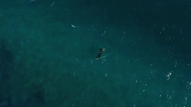Video Reference: Blue, Sky, Turquoise, Water, Organism, Sea, Screenshot, Space, Night, Ocean
