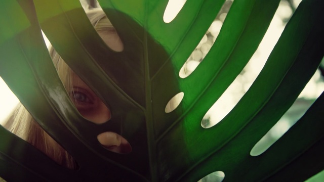 Video Reference: green, light, close up, computer wallpaper, graphics, macro photography