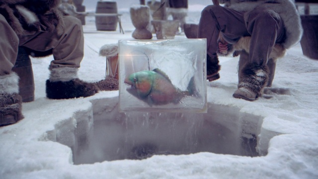 Video Reference: Freezing, Winter, Snow, Ice