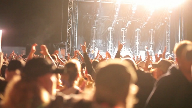 Video Reference: crowd, people, entertainment, audience, stage, light, event, fun, concert, rock concert, Person