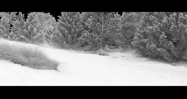 Video Reference: Snow, Winter, White, Nature, Photograph, Black-and-white, Monochrome photography, Geological phenomenon, Freezing, Monochrome