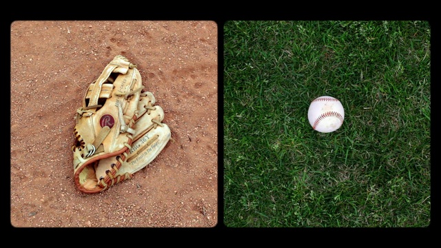 Video Reference: Baseball glove, Grass, Organism, Personal protective equipment, Adaptation