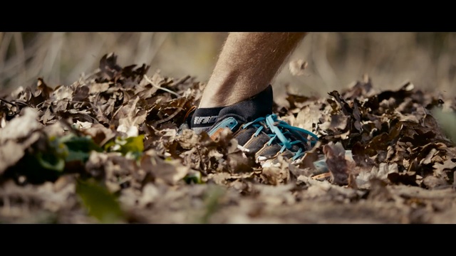 Video Reference: soil, waste, membrane winged insect, insect