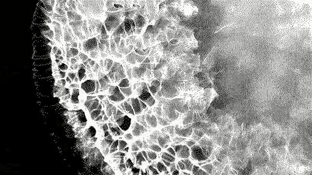 Video Reference: Water, White, Black, Black-and-white, Monochrome photography, Monochrome, Pattern, Design, Line, Stock photography