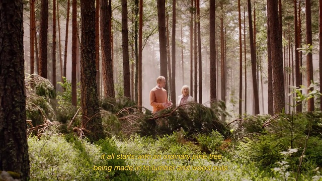 Video Reference: People in nature, Forest, Natural landscape, Tree, Woodland, Photograph, Nature, Natural environment, Old-growth forest, Biome