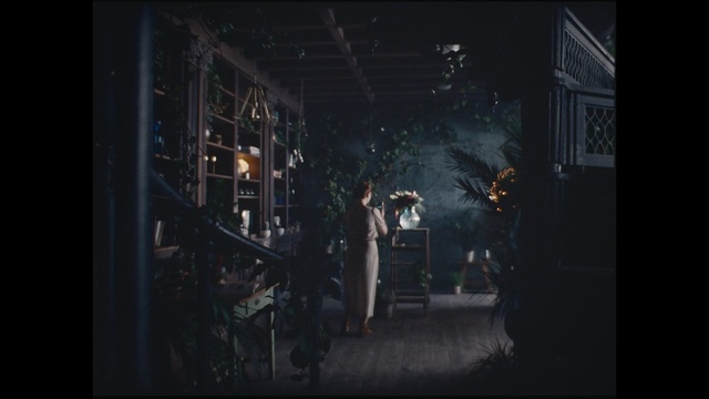 Video Reference: Darkness, Black, Light, Lighting, Snapshot, Midnight, Tree, Night, Photography, Screenshot