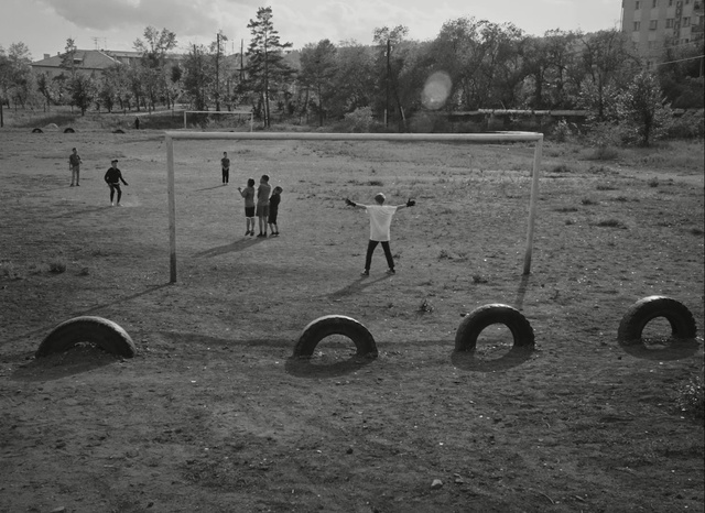Video Reference: black and white, monochrome photography, tree, photography, monochrome, grass, landscape, soil, sky, plant