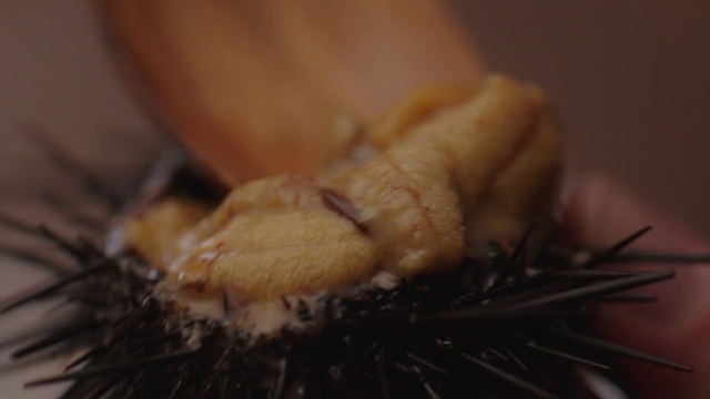 Video Reference: Close-up, Insect, Pest, Invertebrate, Cuisine